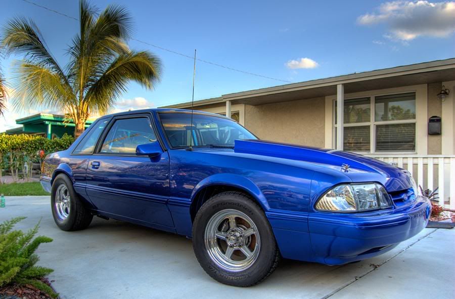 http://i723.photobucket.com/albums/ww231/MikeDiablo/stang_hdr_01.jpg