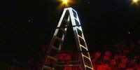 wwe_ladder.jpg wwe_laddermatch image by goodieuk_twe