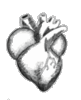 gif heart photo: heart gif animation 13yi1rq.gif