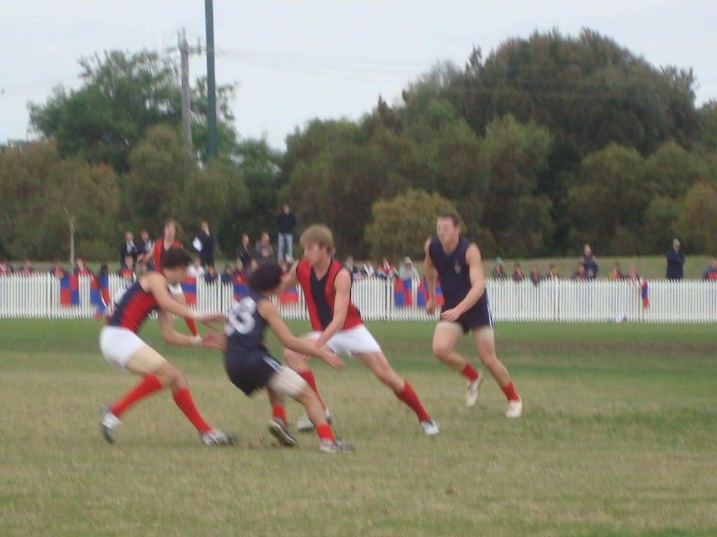 DSC01537.jpg