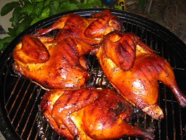 Chix_almost_ready.jpg