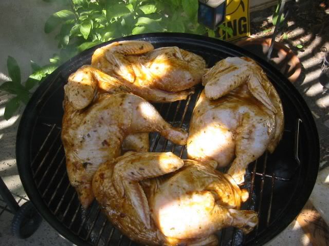 Chixjustonthesmoker.jpg