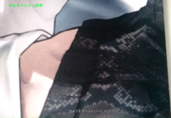 Fate/EXTRA CCC ARタペストリー ギルガメッシュ闪闪AR发声挂画 - 小蝴蝶 - 月千一夜天朝备用栖息地 Fate/EXTRA CCC ARタペストリー ギルガメッシュ闪闪AR发声挂画 - 小蝴蝶 - 月千一夜天朝备用栖息地