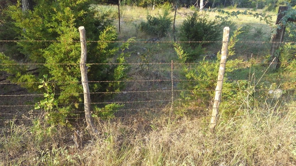 3 strand barbed wire fence