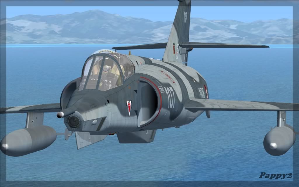 FSX2011-5-31_16-23-40-745.jpg