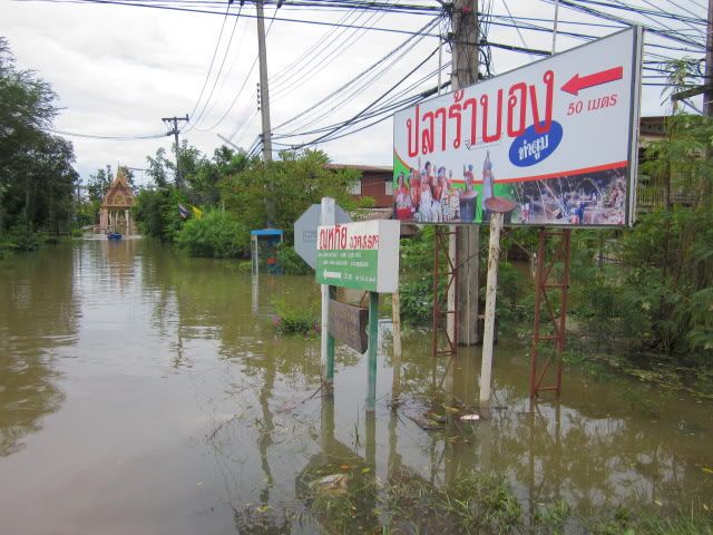 flood 1