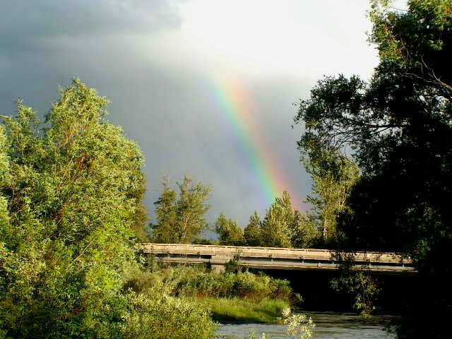 Rainbow7-050011.jpg