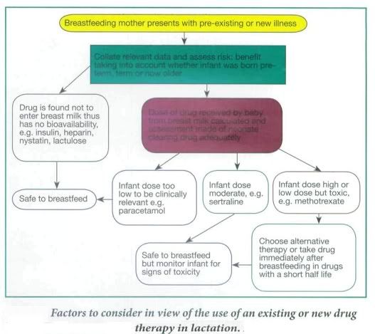 Diagrammatic representation of Factors affecting drug use in Lactation