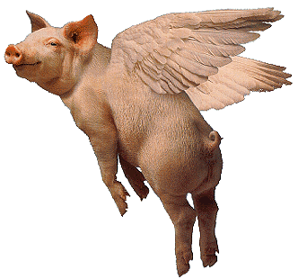 pig-fly.gif