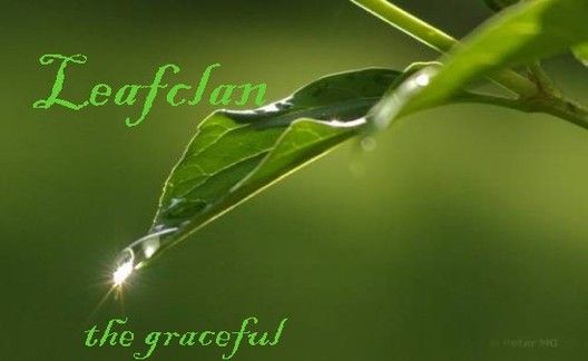 Leaf Clan