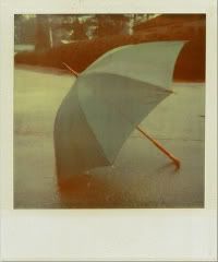 UMBRELLA POLARIOD Pictures, Images and Photos