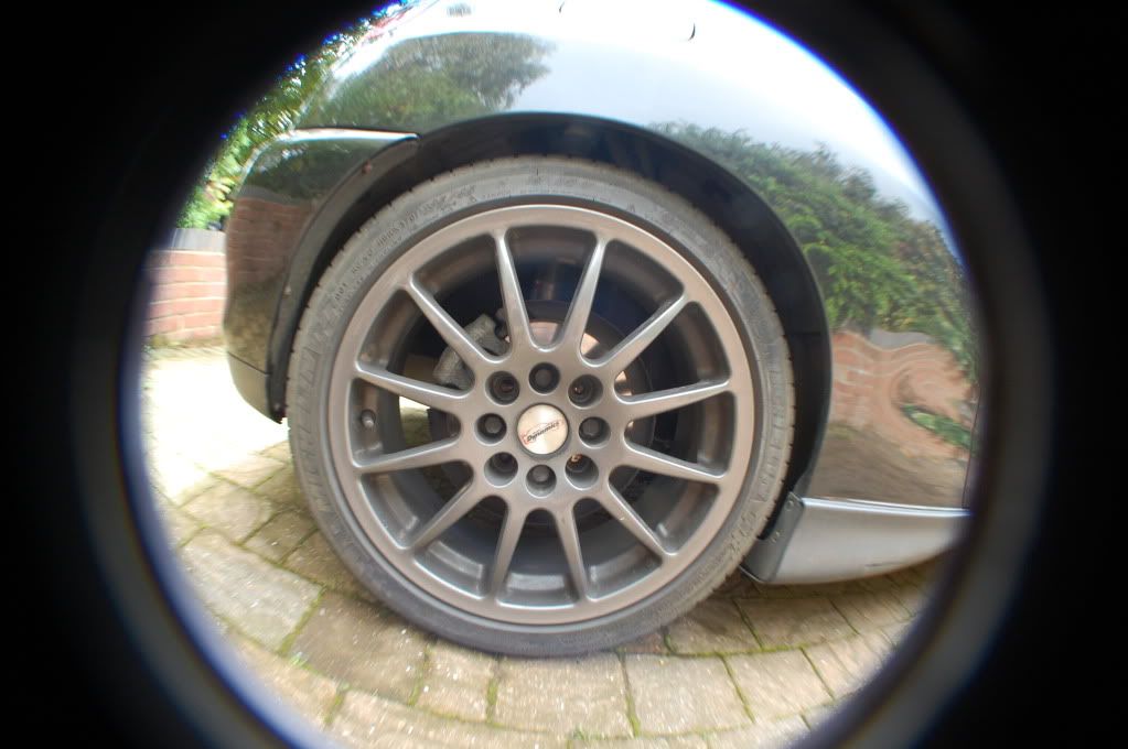 DSC_7841.jpg