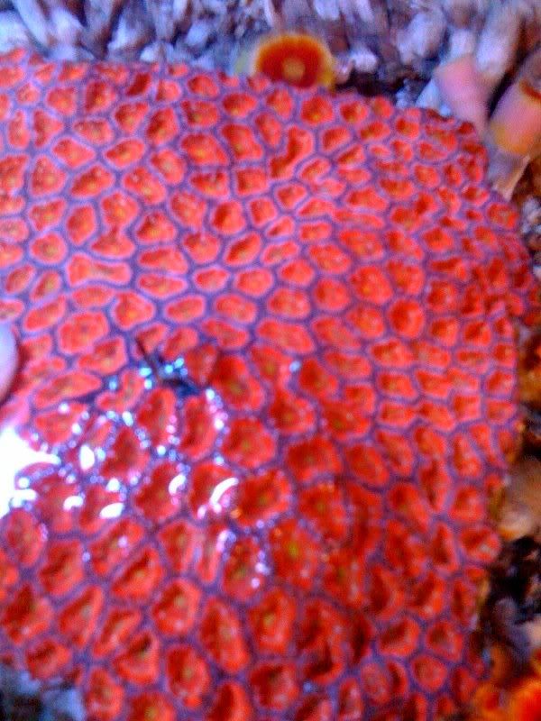 ken-acan5.jpg