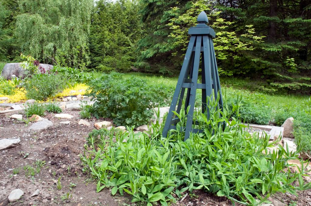 Garden Obelisk - by mtkate GardenTenders.com :: gardening community