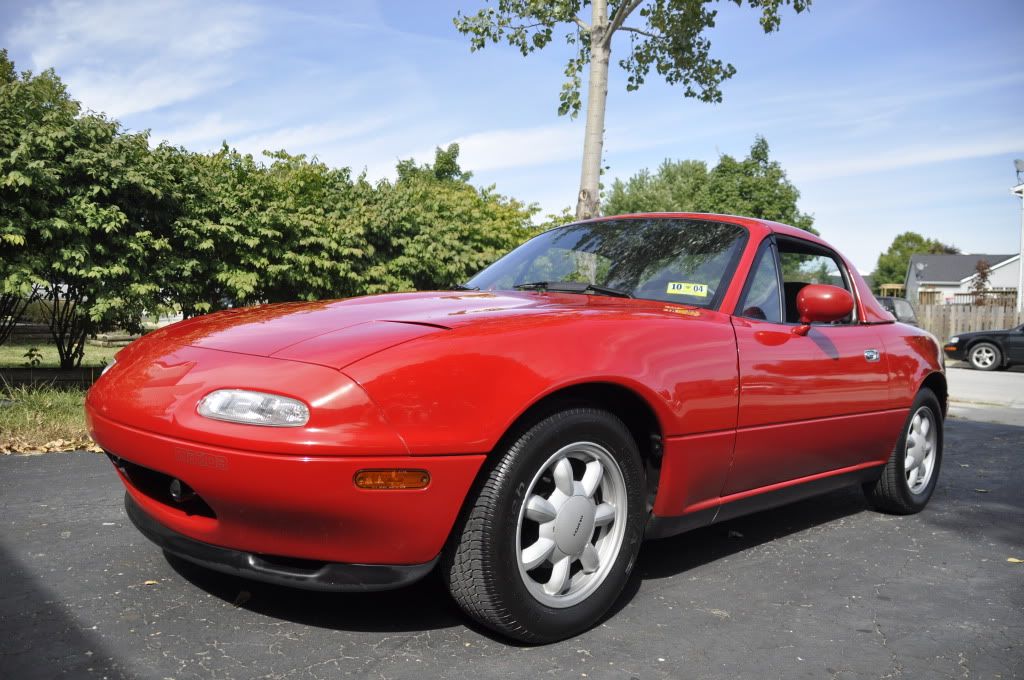 [Image: _DSC0817.jpg]