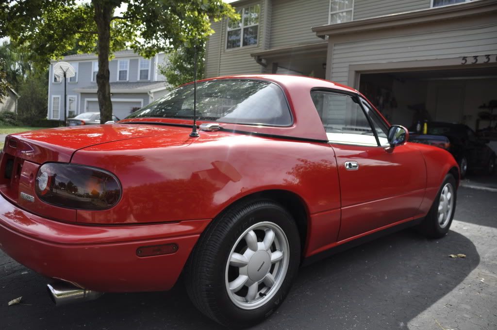 [Image: _DSC0849.jpg]