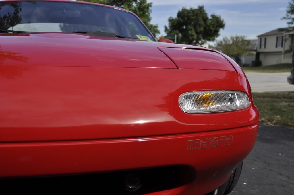 [Image: _DSC0858.jpg]