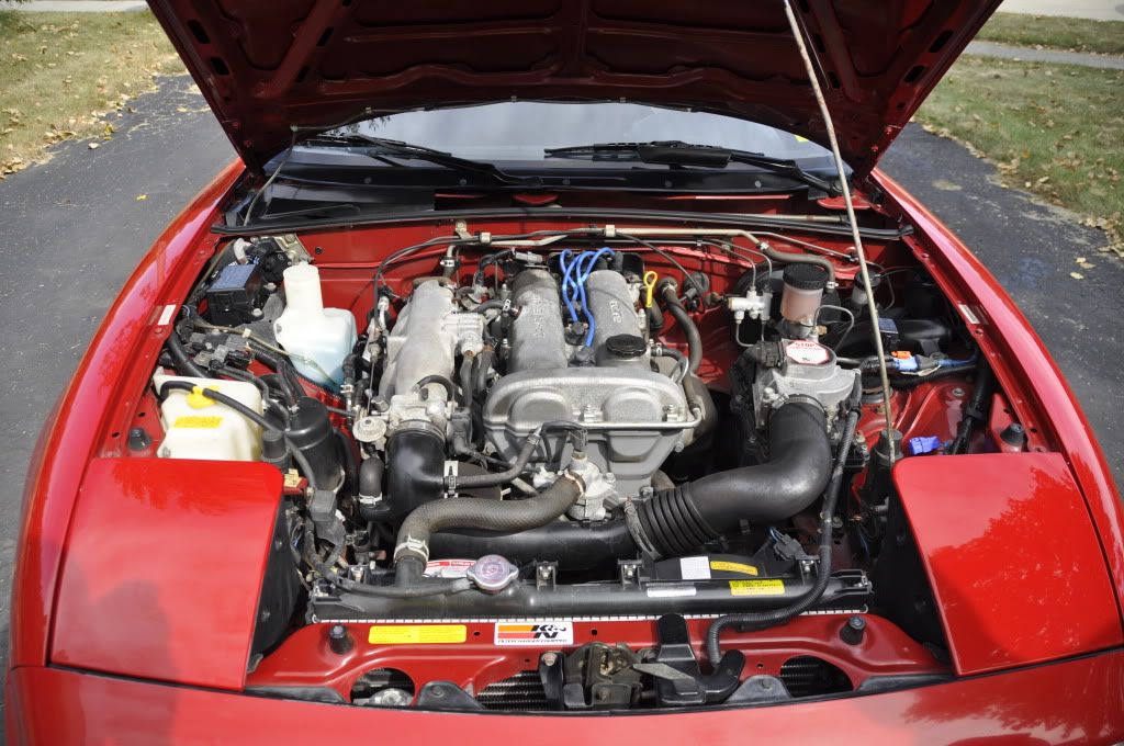 [Image: _DSC0864.jpg]