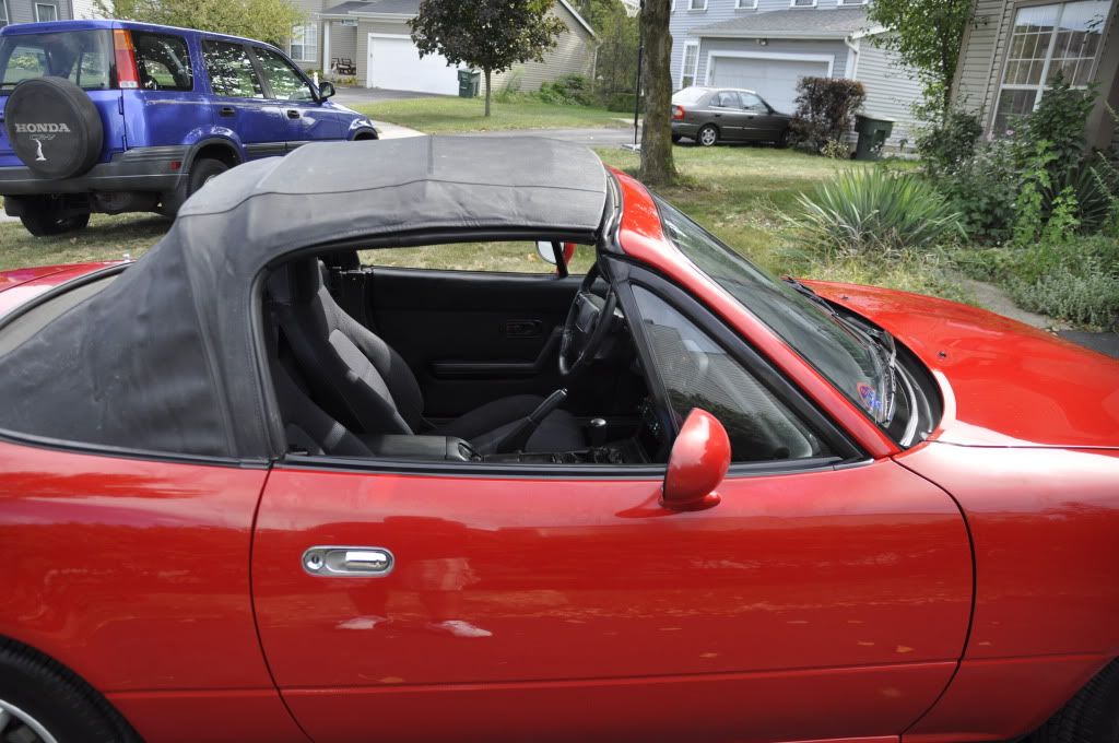 [Image: _DSC0895-1.jpg]