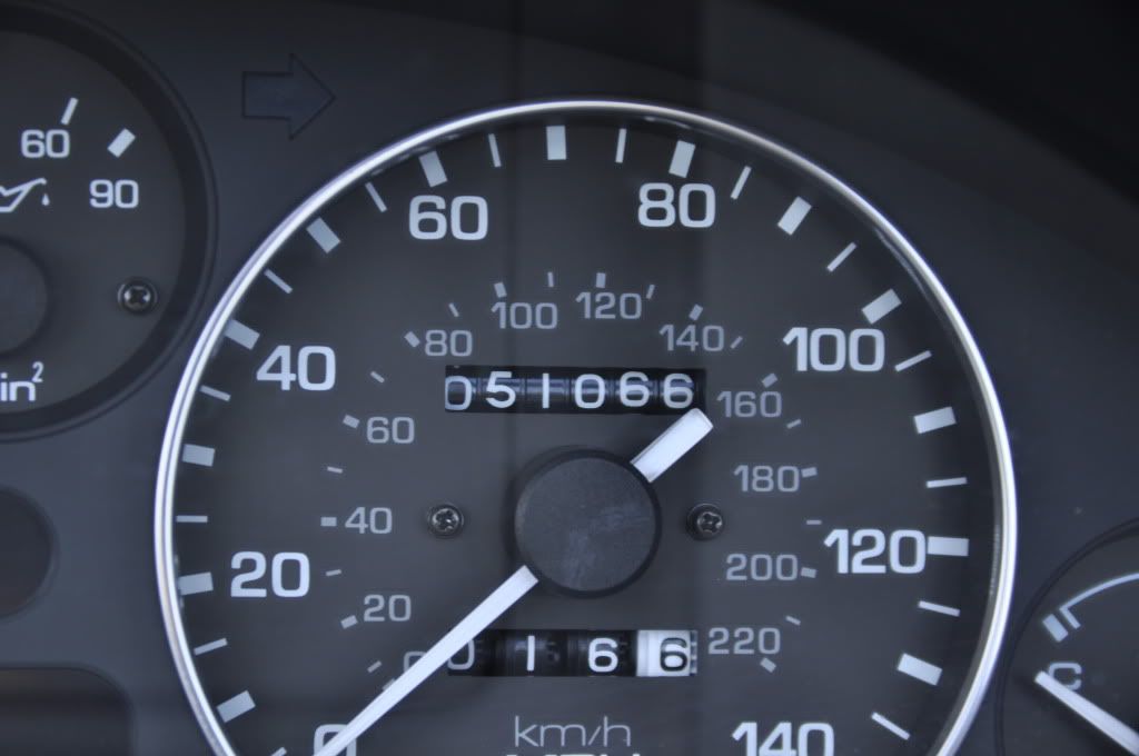 [Image: _DSC0897.jpg]