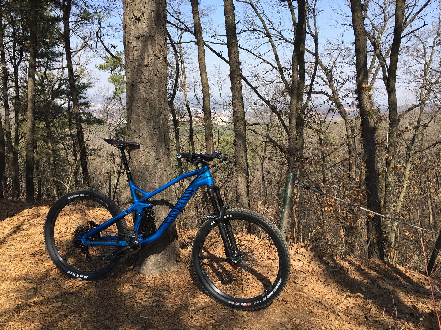 canyon strive 4.0