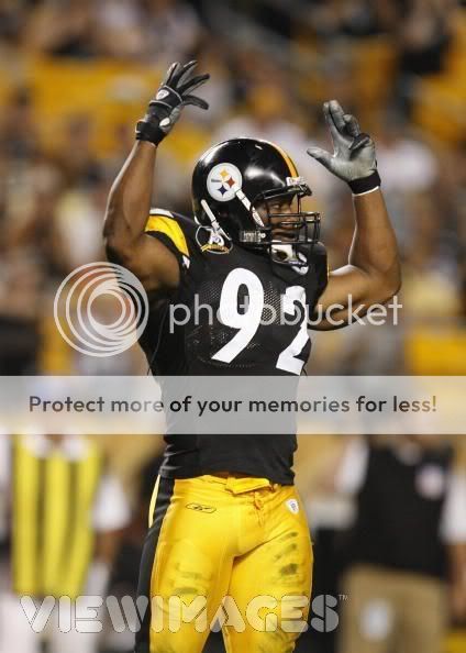 james harrison pictures, images and photos